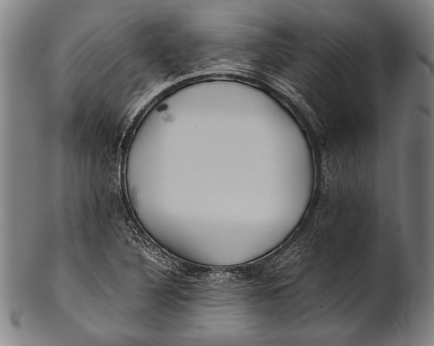 X0000100851316200807111206