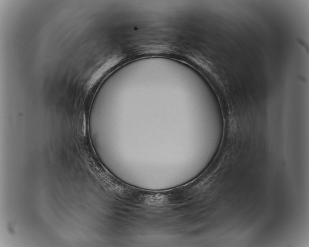 X0000100851317200807111206