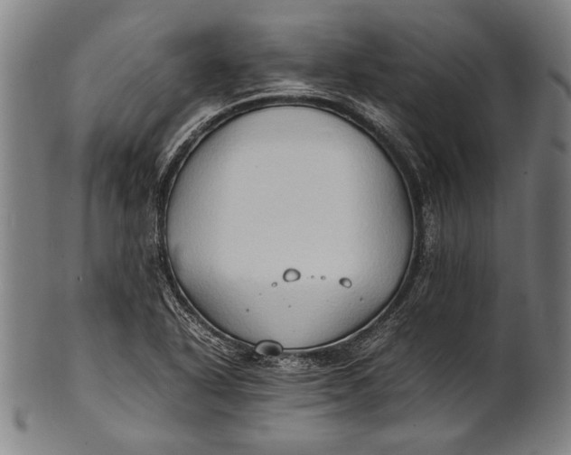 X0000100851318200807111206