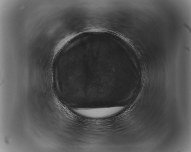 X0000100851319200807111206