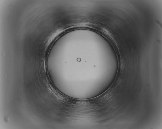 X0000100851320200807111206