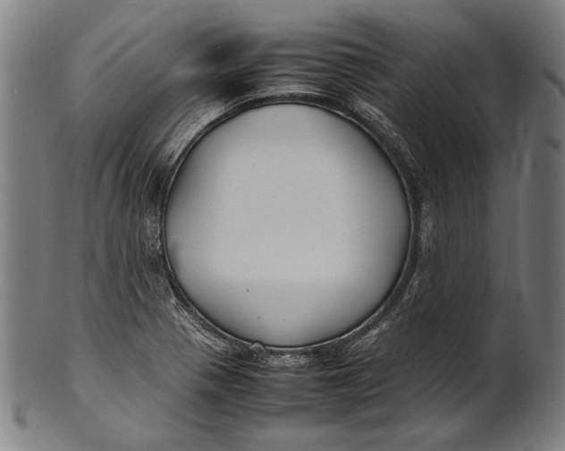 X0000100851321200807111206