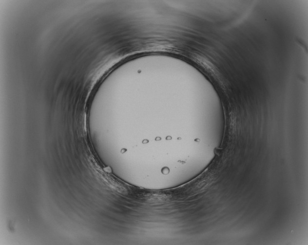 X0000100851324200807111206