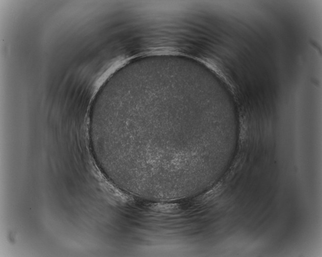 X0000100851325200807111206