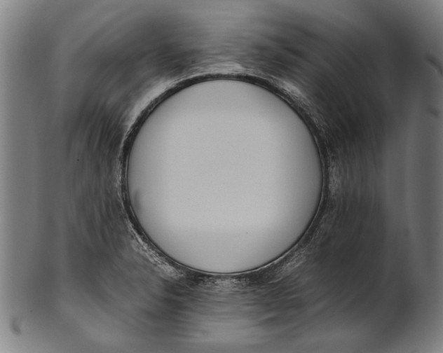 X0000100851326200807111206