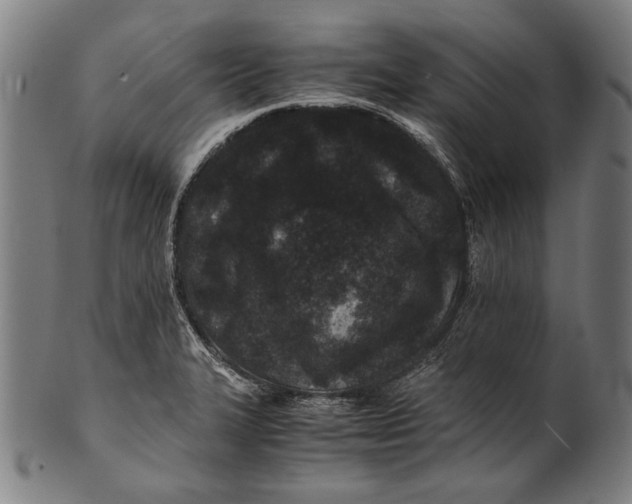 X0000100851327200807111206