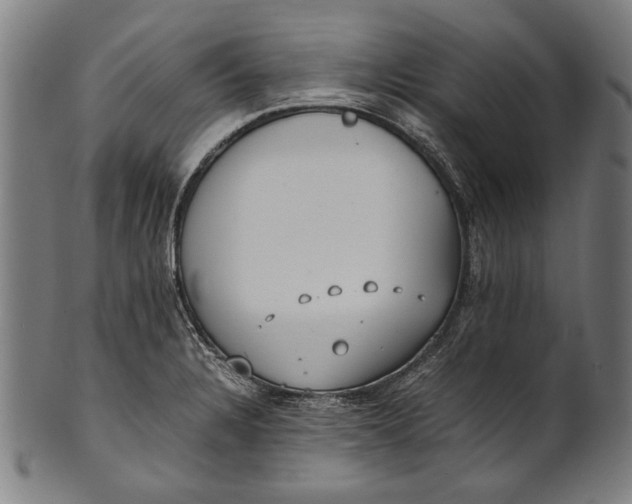 X0000100851328200807111206