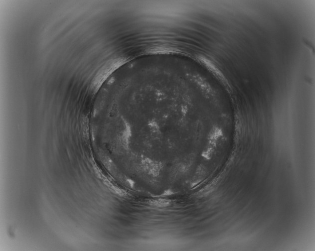 X0000100851329200807111206