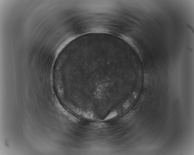 X0000100851331200807111206