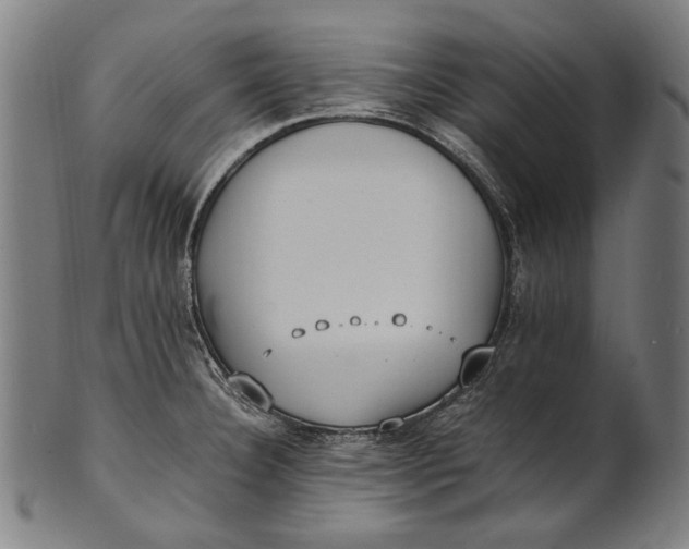 X0000100851332200807111206