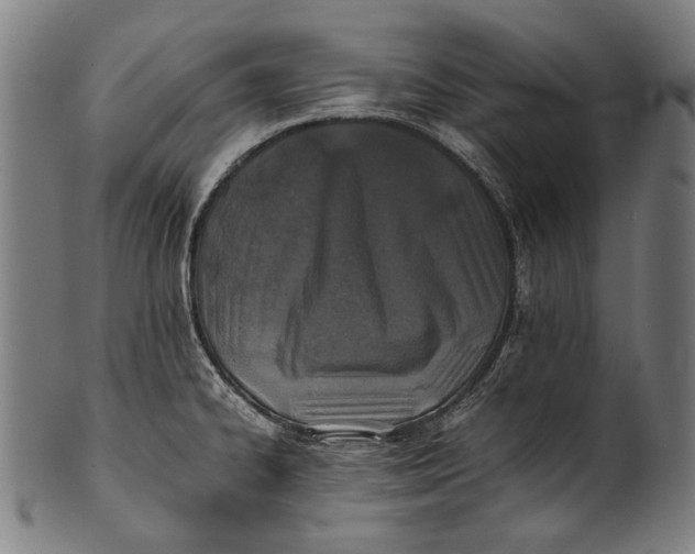 X0000100851334200807111206