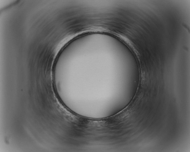 X0000100851335200807111206