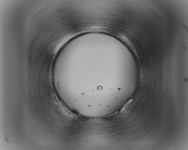 X0000100851336200807111206