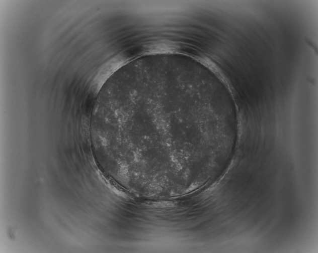 X0000100851337200807111206