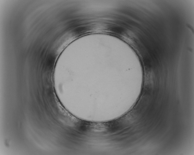 X0000100851338200807111206