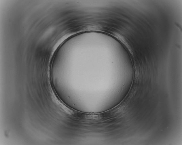 X0000100851339200807111206