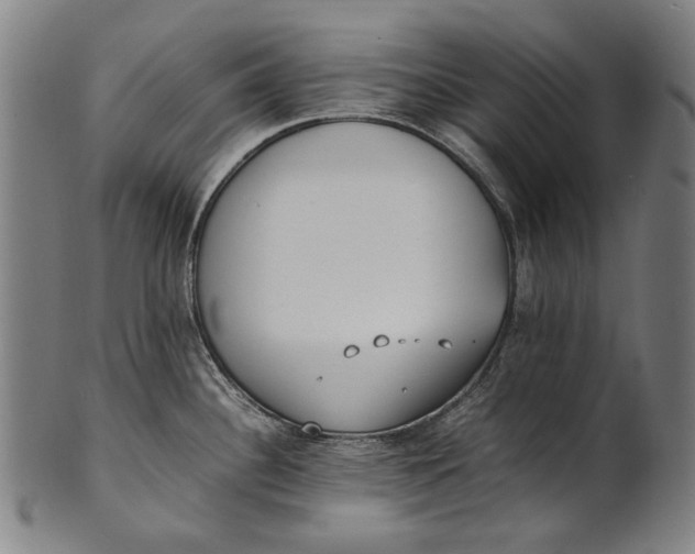 X0000100851340200807111206