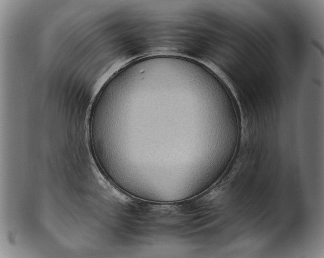 X0000100851341200807111206