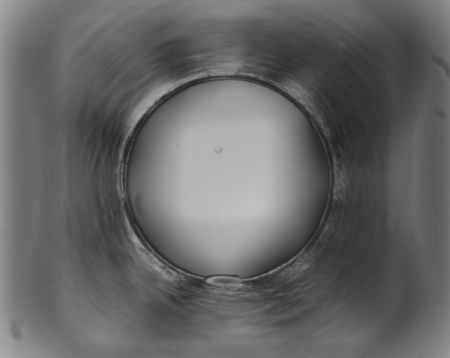 X0000100851342200807111206