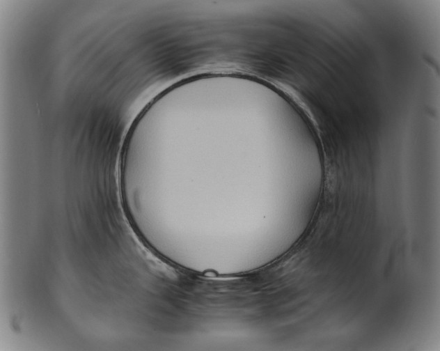 X0000100851343200807111206