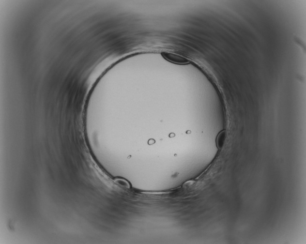 X0000100851344200807111206