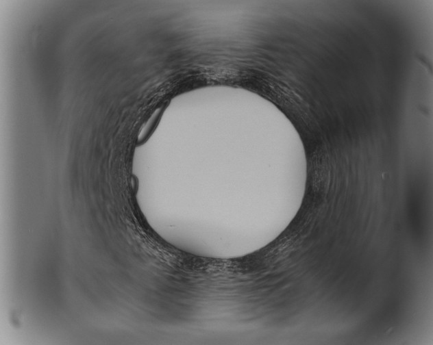 X0000100851345200807111206