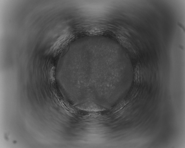 X0000100851346200807111206