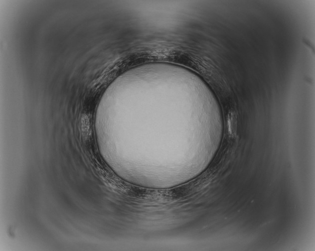 X0000100851347200807111206