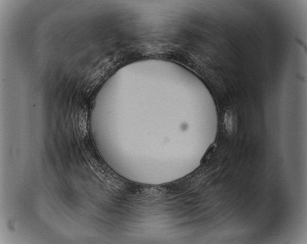 X0000100851348200807111206