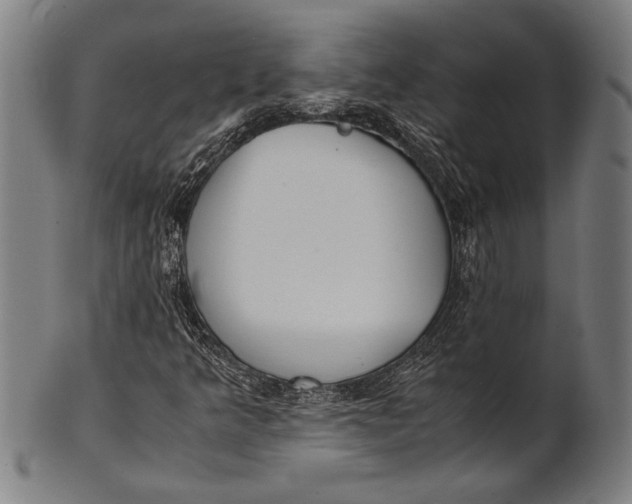 X0000100851349200807111206