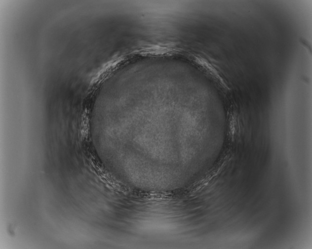 X0000100851350200807111206