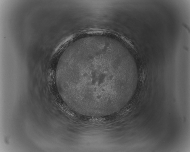 X0000100851351200807111206