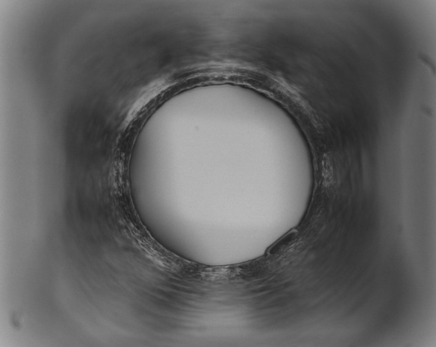 X0000100851352200807111205