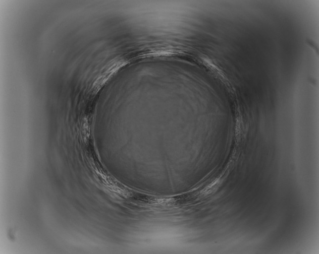 X0000100851353200807111205