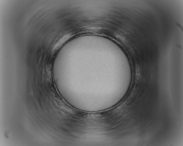 X0000100851354200807111205