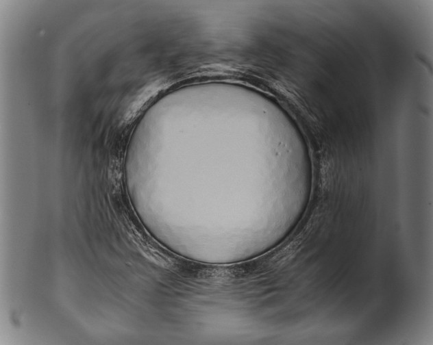 X0000100851355200807111205