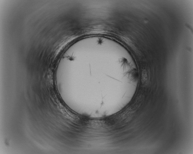 X0000100851356200807111205