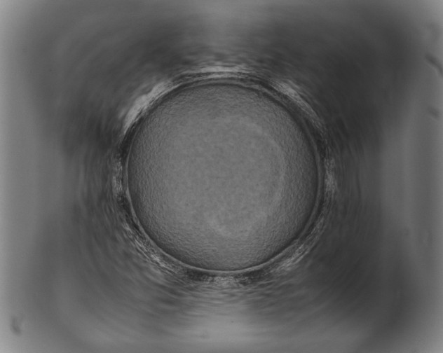 X0000100851357200807111205