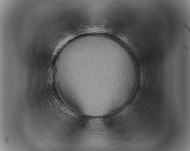 X0000100851358200807111205