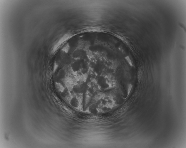 X0000100851359200807111205