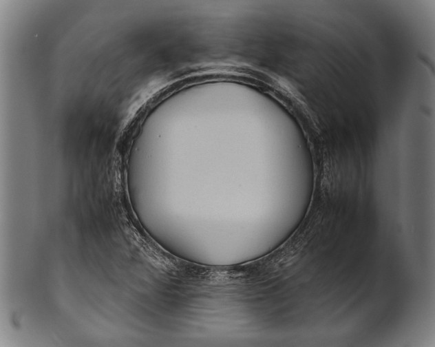 X0000100851360200807111205