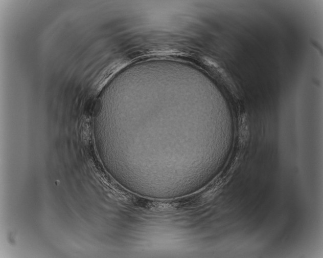 X0000100851361200807111205