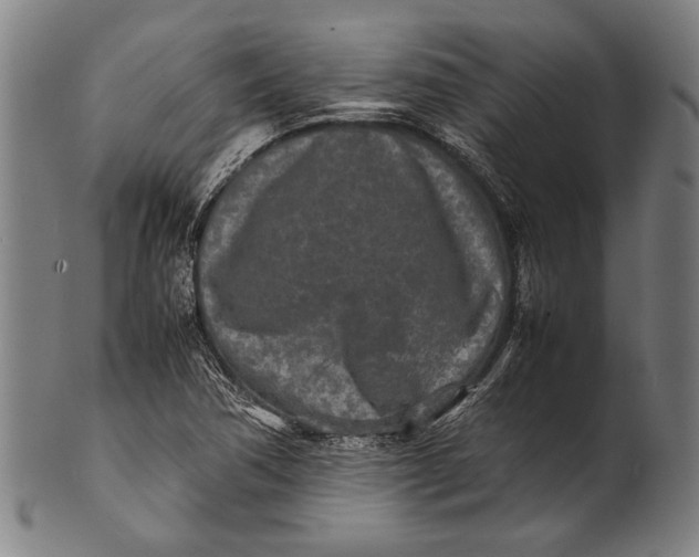 X0000100851362200807111205