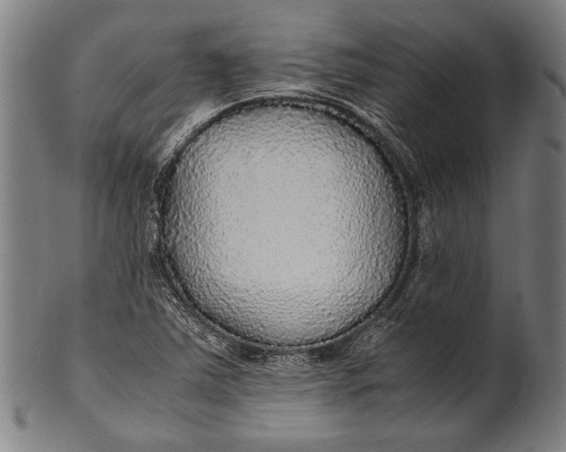 X0000100851363200807111205