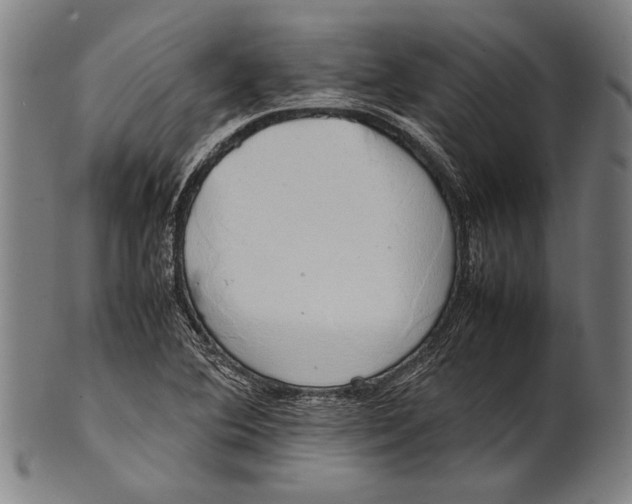 X0000100851364200807111205