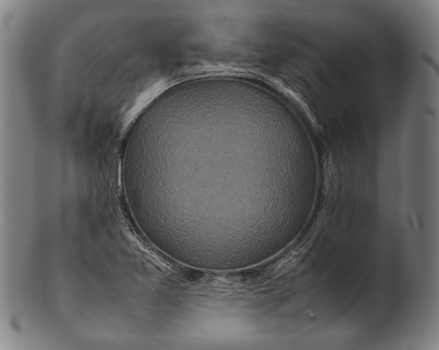 X0000100851365200807111205