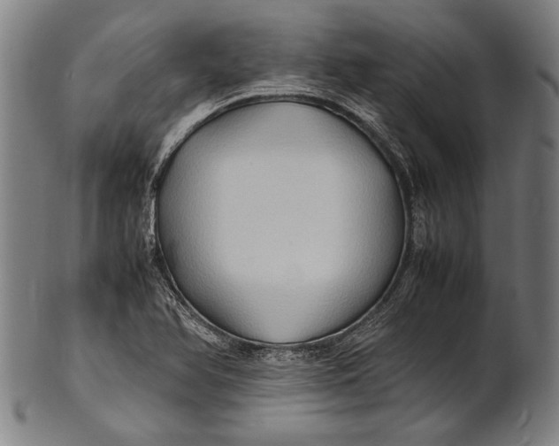 X0000100851366200807111205