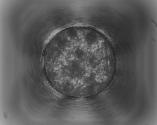 X0000100851367200807111205