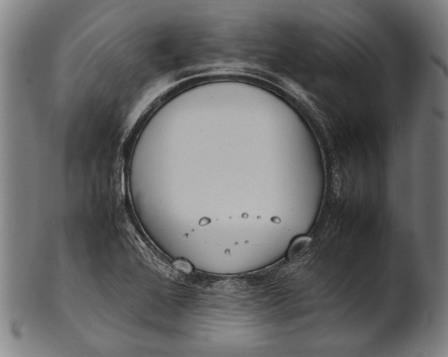 X0000100851368200807111205