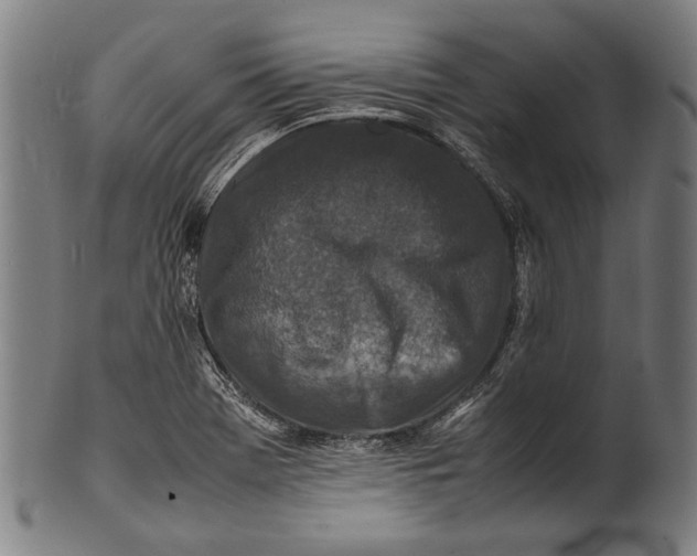 X0000100851369200807111205